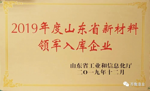 再传捷报：看片软件下载污污污漆业荣膺山东省新材料领军入库企业